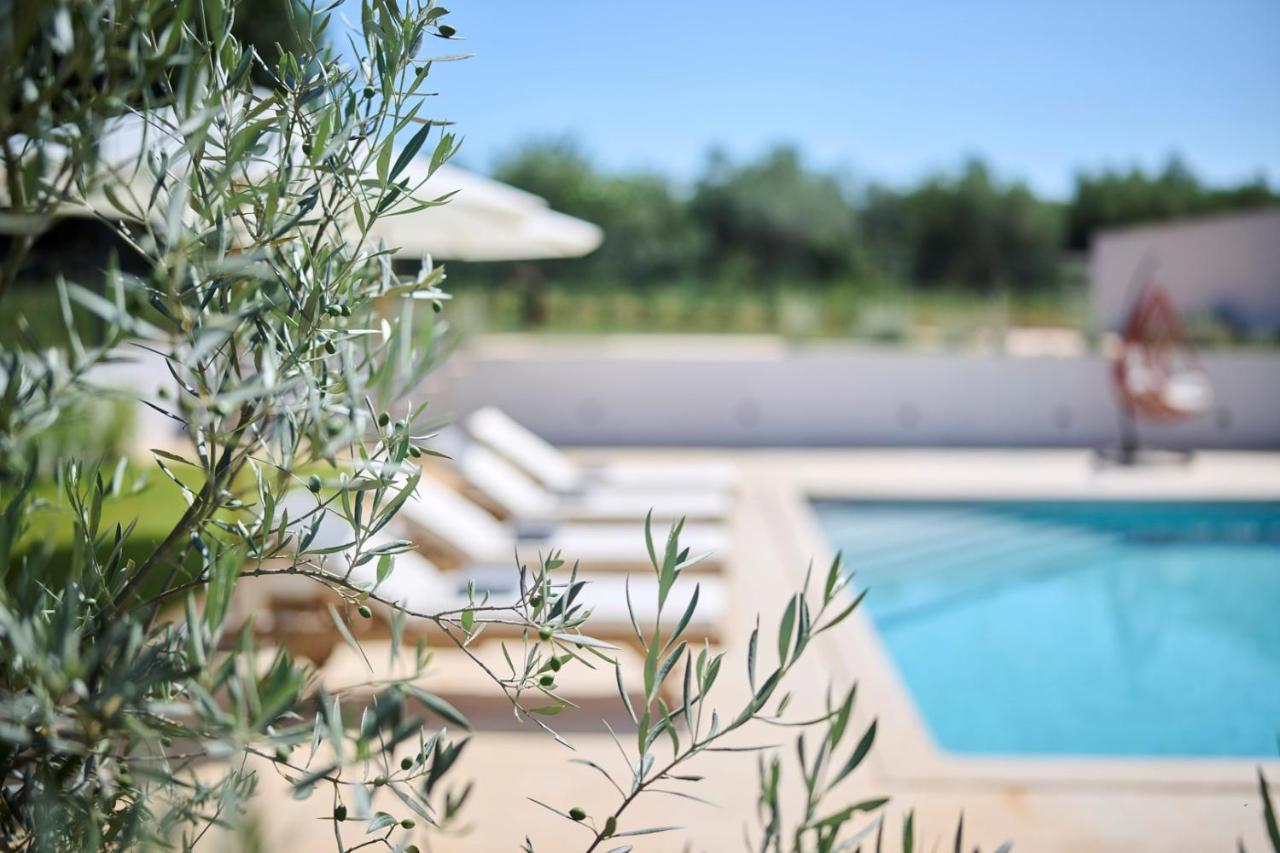 Villa Pura Vida Materada ภายนอก รูปภาพ